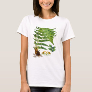 Antiek Kohler Fern Illustratie Groene Decor T-shirt