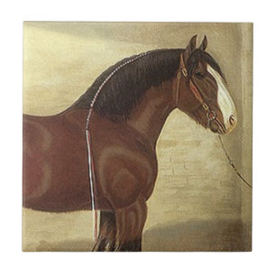 Antiek Kunst Bay Clydesdale Draft Horse Tile Trive Tegeltje