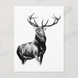 Antiek kunsttekening handgemaakte natuur briefkaart