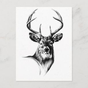 Antiek kunsttekening handgemaakte natuur briefkaart
