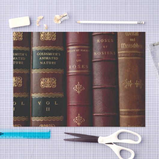 Antiek Library Dark Leather Book Spines Decoupage Tissuepapier (Craft)