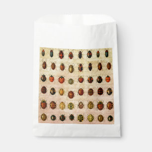 Antiek Lieveheersbeestje Exemplaar Patroon Antieke Bedankzakje