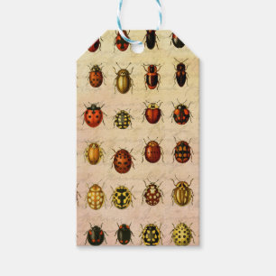 Antiek Lieveheersbeestje Exemplaar Patroon Antieke Cadeaulabel