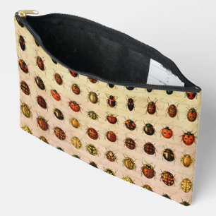 Antiek Lieveheersbeestje Exemplaar Patroon Antieke Etui