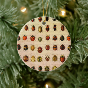 Antiek Lieveheersbeestje Exemplaar Patroon Antieke Keramisch Ornament