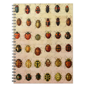 Antiek Lieveheersbeestje Exemplaar Patroon Antieke Notitieboek