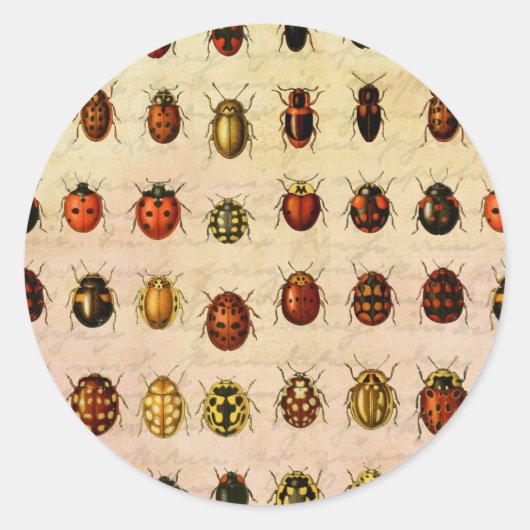 Antiek Lieveheersbeestje Exemplaar Patroon Antieke Ronde Sticker (Voorkant)
