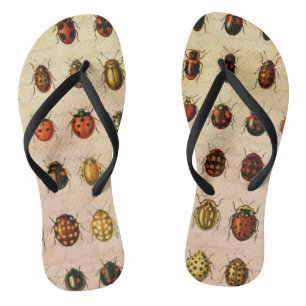 Antiek Lieveheersbeestje Exemplaar Patroon Antieke Teenslippers