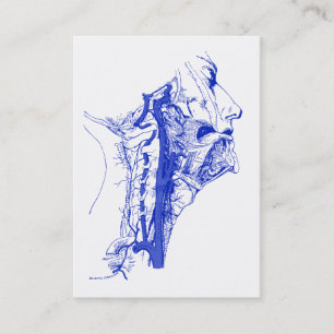 Antiek medisch Afbeelding Humaan vertebrale slagad Visitekaartje