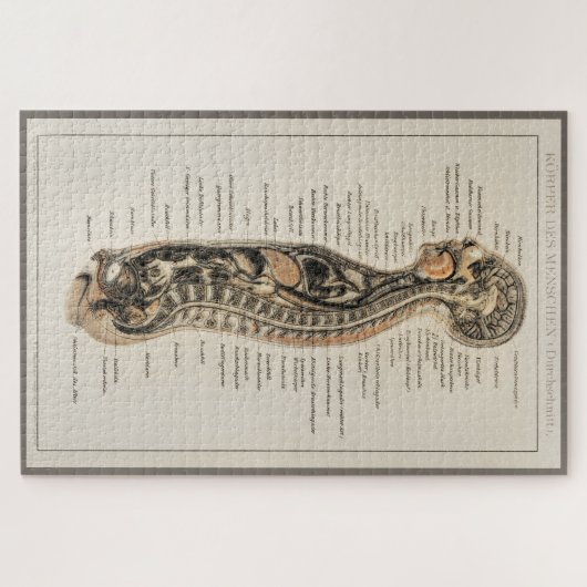  Antiek medisch anatomisch anatomisch diagram Legpuzzel (Horizontaal)