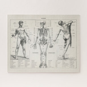  Antiek medisch anatomisch anatomisch diagram Legpuzzel