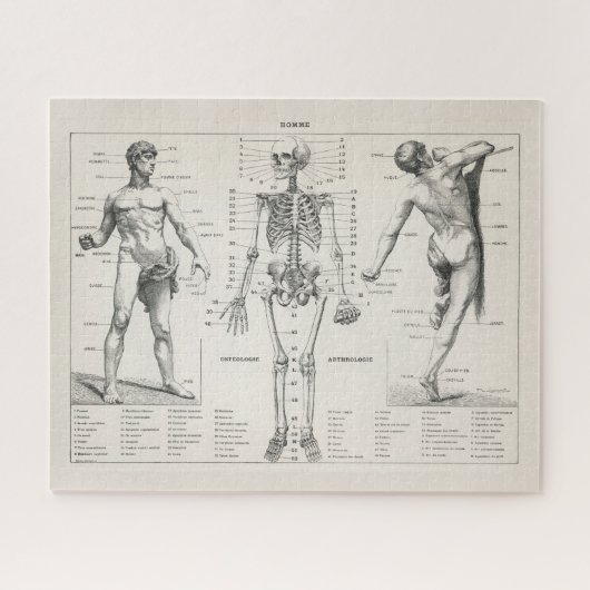 Antiek medisch anatomisch anatomisch diagram Legpuzzel (Horizontaal)