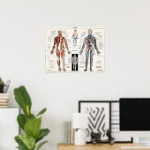 Antiek medisch anatomisch anatomisch diagram Poster (Thuiskantoor)