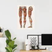 Antiek medisch anatomisch anatomisch diagram Poster (Thuiskantoor)