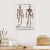  Antiek medisch Duits anatomisch diagram Poster (Keuken)