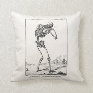 Antiek menselijk skelet Medische anatomie Kussen