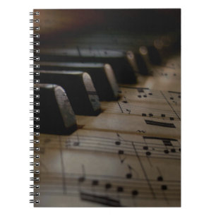 Antiek muziekopnames notitieboek