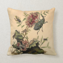 Antiek Natuur bijbels