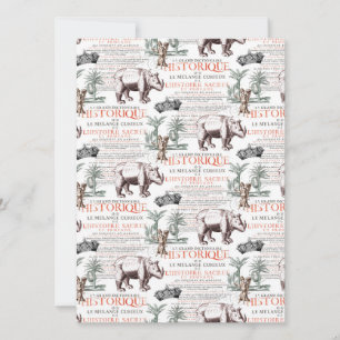 Antiek neushoorn Rhino Abrecht Durer stijl Kaart