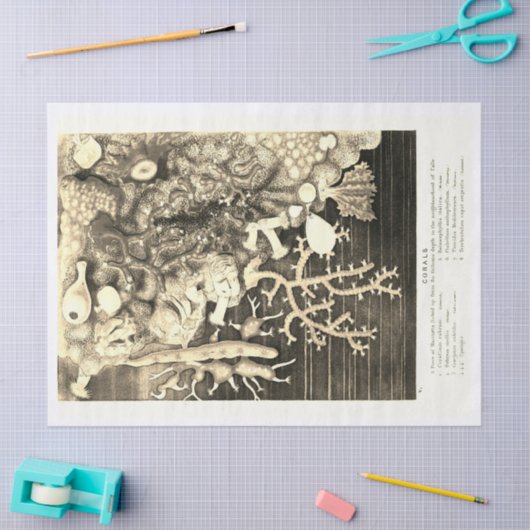 Antiek oceaankoralen beige tissuepapier (Craft)