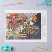 Antiek  oceaankoralen tissuepapier (Craft)