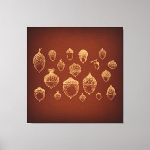 Antiek orn Kunst geïllustreerde eikels Canvas Afdruk