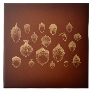 Antiek orn Kunst geïllustreerde  eikels Tegeltje