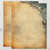 Antiek oud perkamentpapier (Voorkant / Achterkant)