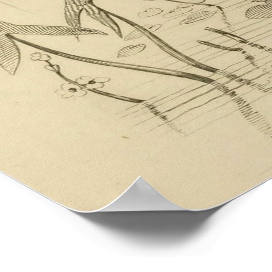 Antiek Paars Heron Travies Edouard Print (Hoek)