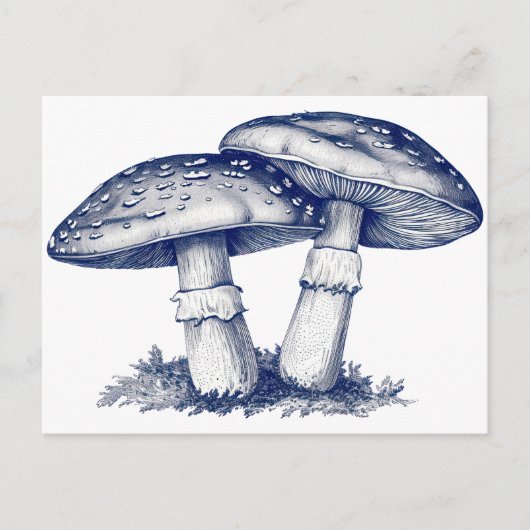 Antiek paddenstoel tekening briefkaart (Voorkant)
