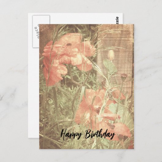 Antiek papaver Briefkaart (Voorkant / Achterkant)