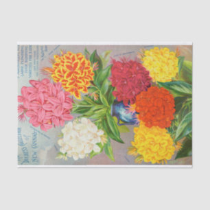 Antiek papier voor kleurrijke kanonnen