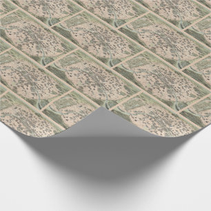 Antiek Paris Street Map Cadeaupapier