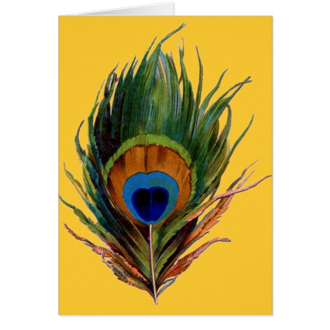 Antiek Peacock Feather (Voorkant)
