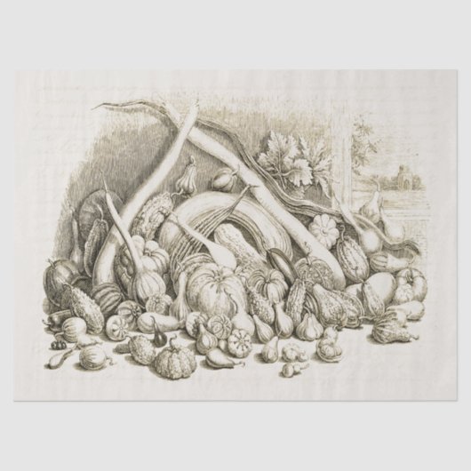 Antiek  pompoen squash beige tissuepapier (Voorkant)