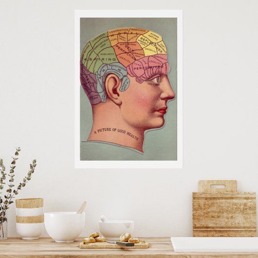 Antiek Poster Phrenology head (Keuken)