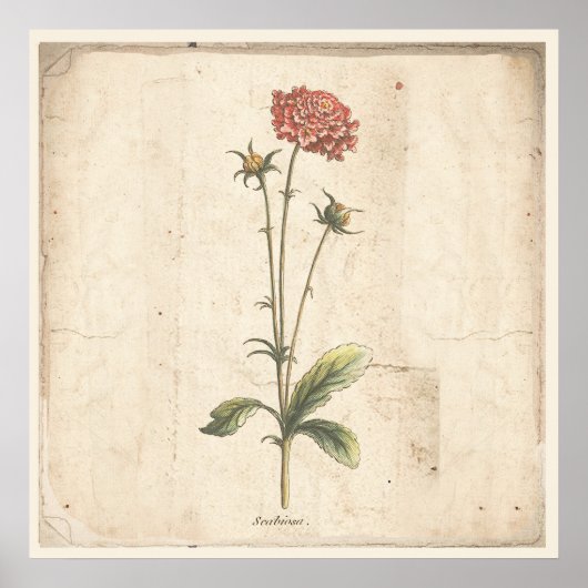 Antiek Poster speldenkussen (Voorkant)