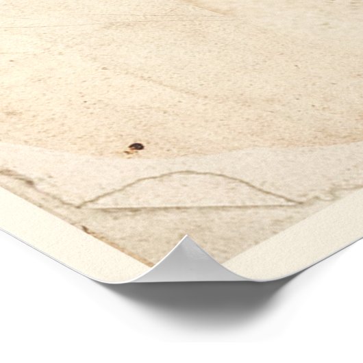 Antiek Poster voor botanische afdruk Scarlet Runne (Hoek)