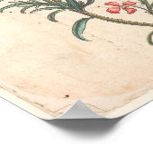 Antiek Poster voor botanische afdrukken Rosemary H (Hoek)