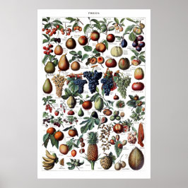 Antiek Poster voor het drukken van fruit
