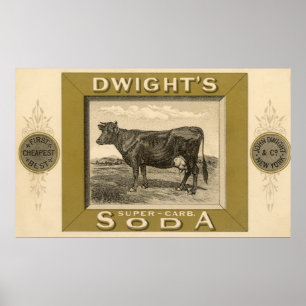 Antiek productlabel, Dwight's Bicarbonated Soda Poster