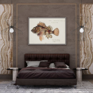 Antiek Red Scorpion van F.E. Clarke 1874 Poster