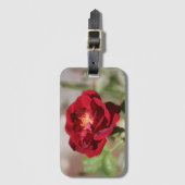 Antiek rood Bagagelabel (Voorkant (verticaal))