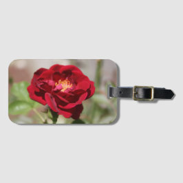 Antiek rood Bagagelabel