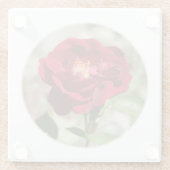 Antiek Roos Onderzetter (Achterkant)