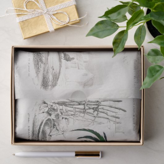  Antiek Rooster Bird Decoupage Tissuepapier (Geschenk)