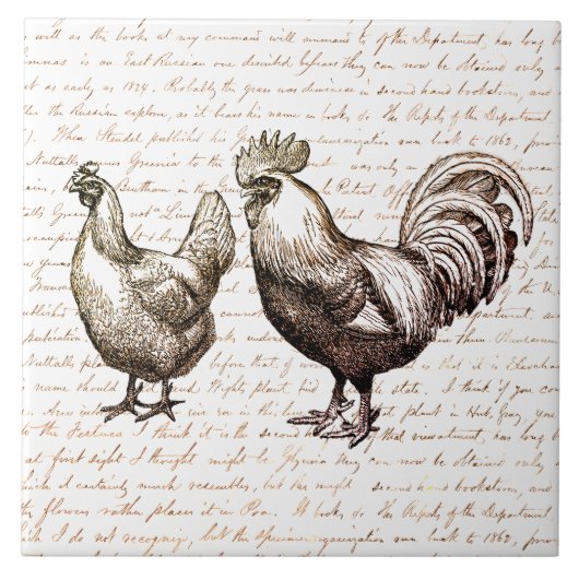 Antiek  Rooster Chicken Red Script Tegeltje (Voorkant)