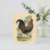 Antiek Rooster-leder Briefkaart (Staand voorkant)