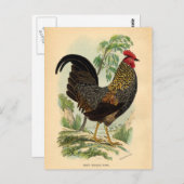 Antiek Rooster-leder Briefkaart (Voorkant / Achterkant)