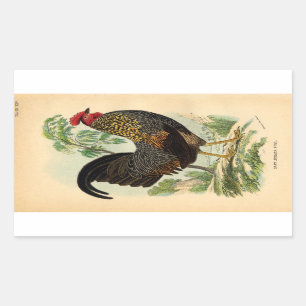 Antiek Rooster-leder Rechthoekige Sticker